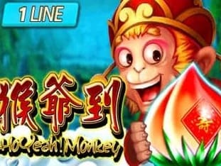 Ho Yeah Monkey thumbnail